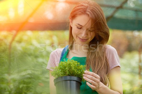 Woman with potted plant Stock photo © dash