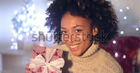 Attractive woman in a red Santa cape with hood Stock photo © dash
