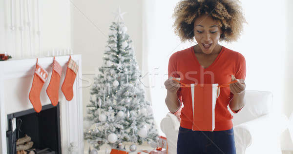 Stockfoto: Gelukkig · jonge · vrouw · opening · christmas · geschenken · aantrekkelijk