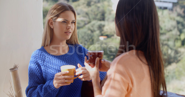 Twee vrouwen vriendelijk chat samen home permanente Stockfoto © dash