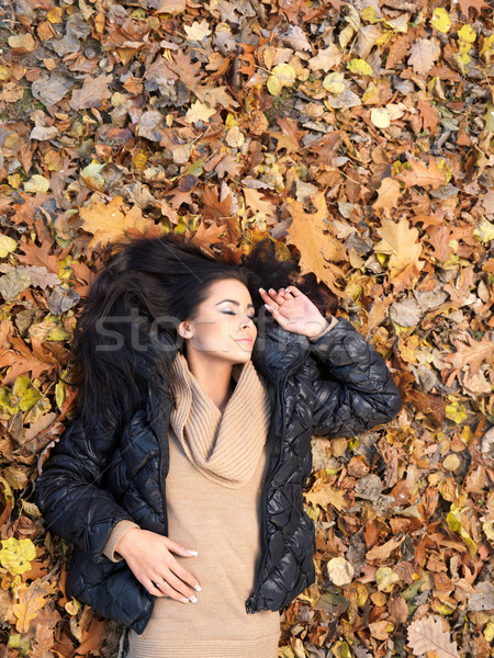 Beauty during autumn Stock photo © dash