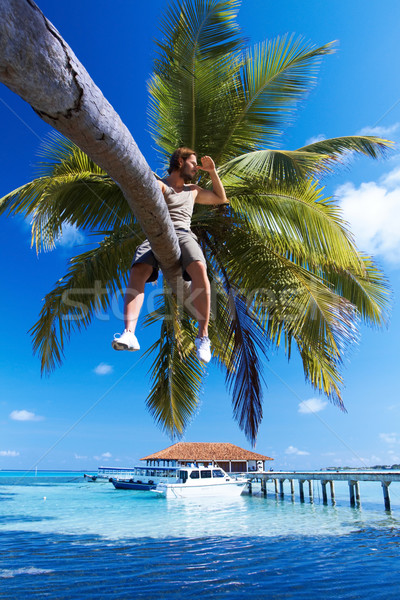 Uomo Palm bell'uomo seduta palma albero Foto d'archivio © dash