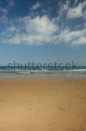 Empty beach Stock photo © dash