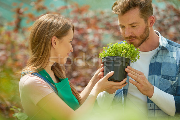 Man smelling potted plant Stock photo © dash