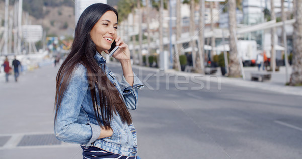 Modny atrakcyjny młoda kobieta denim ściany miejskich Zdjęcia stock © dash