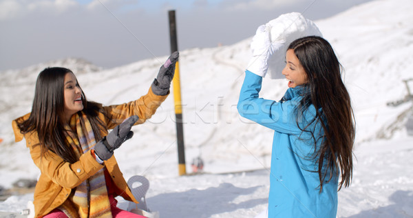 Two young female friends playing in the snow Stock photo © dash