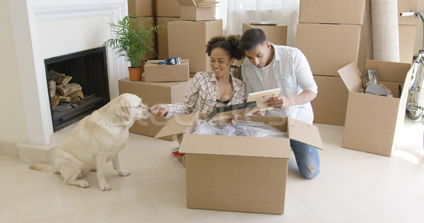 Young woman petting her pet dog Stock photo © dash