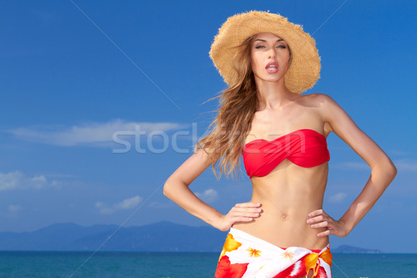Güzel tutum bikini okyanus ada Stok fotoğraf © dash