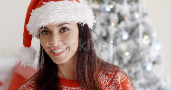 Uśmiechnięty przepiękny młoda kobieta Święty mikołaj hat Zdjęcia stock © dash