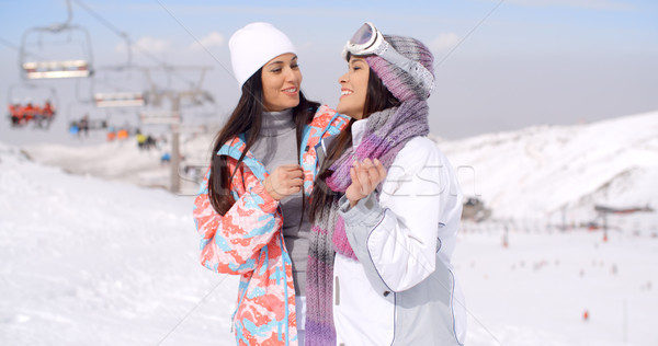 [[stock_photo]]: Deux · cute · séduisant · jeunes · femmes · ski · Resort