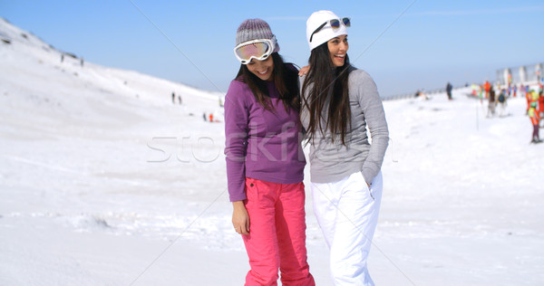 Zwei anziehend Frauen Freunde Ski Resort Stock foto © dash