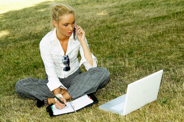 Affaires extérieur femme d'affaires travail herbe ordinateur portable [[stock_photo]] © dash