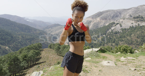 Young girl posing as boxer Stock photo © dash