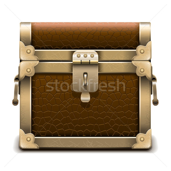 Vector Pirate Chest Stock photo © dashadima