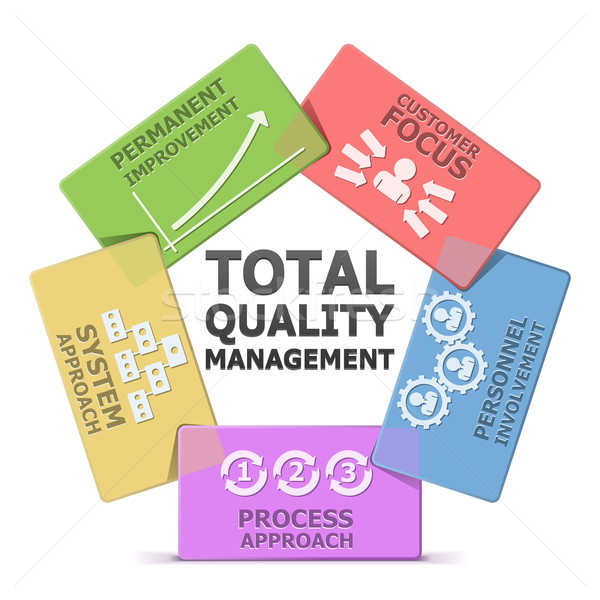 Vector TQM System Stock photo © dashadima