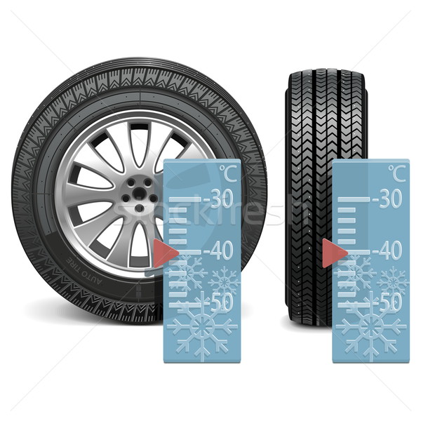 Vector winter tire Stock photo © dashadima