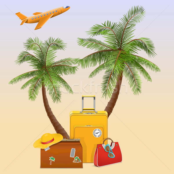 Vector reizen palm geïsoleerd strand zee Stockfoto © dashadima