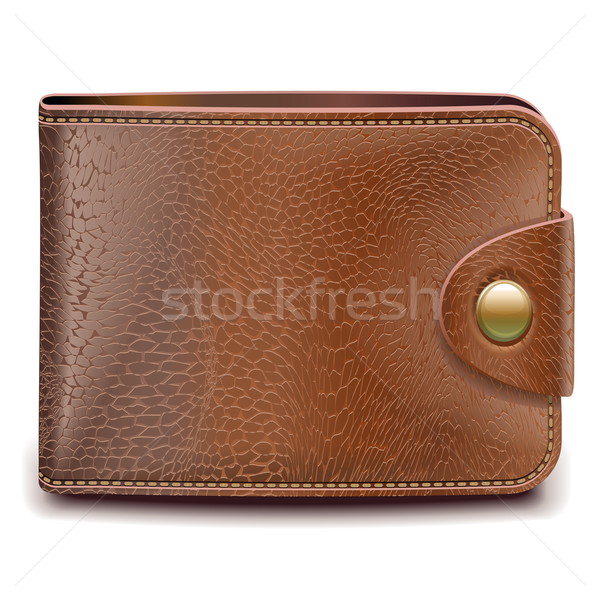 Vector Wallet Stock photo © dashadima