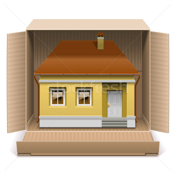 Vector House in Carton Box Stock photo © dashadima