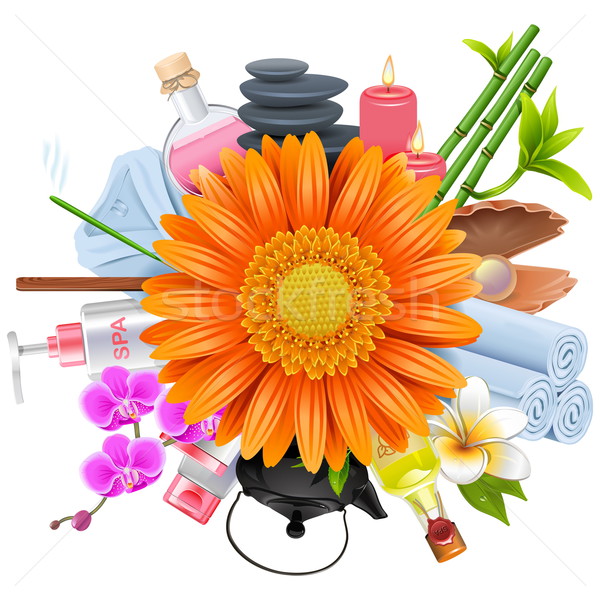 Vector SPA Concept Stock photo © dashadima