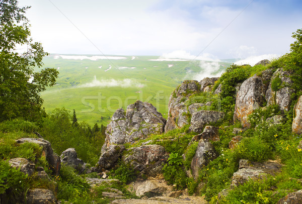 Berg landschap vallei kaukasus natuur Stockfoto © dashapetrenko
