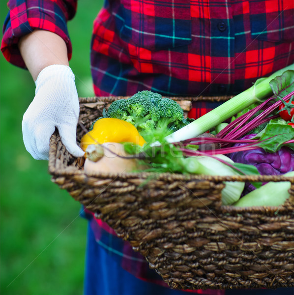 Woman wearing gloves with fresh vegetables in the box in her han Stock photo © dashapetrenko