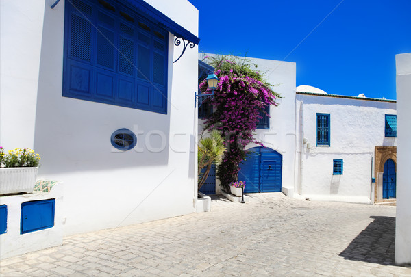 La Tunisia alb albastru oraş cer Imagine de stoc © dashapetrenko