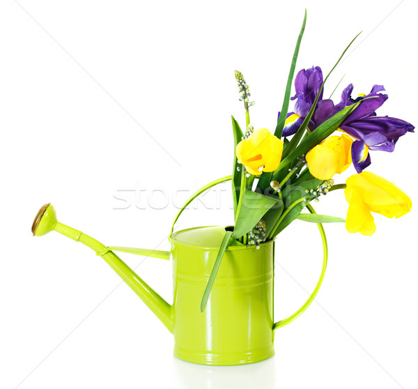 Bouquet rose tulipes violette iris arrosoir Photo stock © dashapetrenko