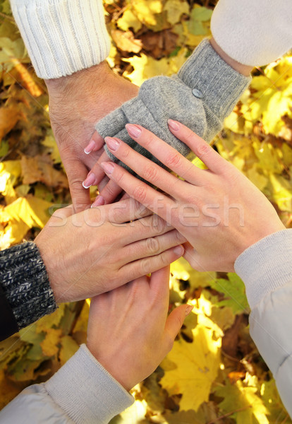 Handen samen outdoor najaar vrouw Stockfoto © dashapetrenko