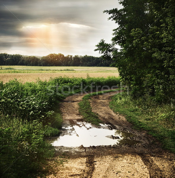 Wet countryside road with dark cloudy sky  Stock photo © dashapetrenko