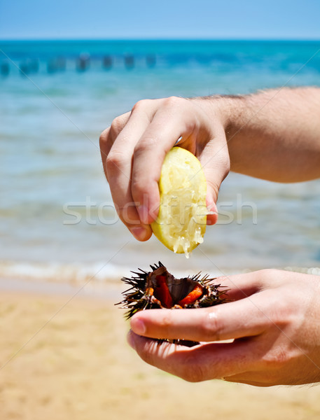 Man holding a sea urchin for eating it on the beach Stock photo © dashapetrenko