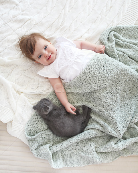 ストックフォト: 肖像 · 美しい · 赤ちゃん · 子猫 · 先頭