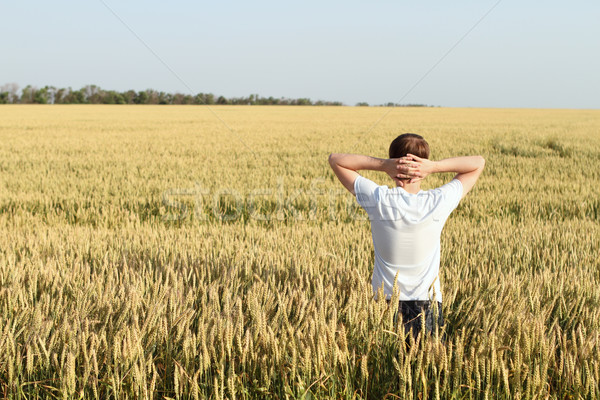 Stockfoto: Gemakkelijk · man · boom · hand