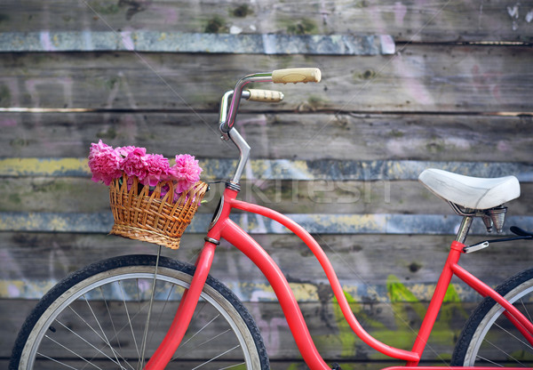 Vintage bicycle with basket with peony flowers  Stock photo © dashapetrenko