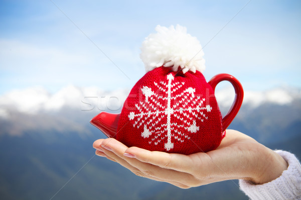 Tea pot in the knotted cap in the hand of a woman  Stock photo © dashapetrenko