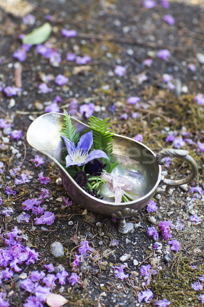 Violet petale flori piatră scară Imagine de stoc © dashapetrenko