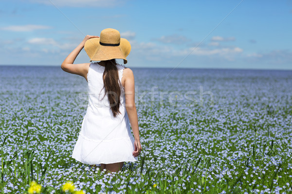 Young beautiful girl in linen field Stock photo © dashapetrenko
