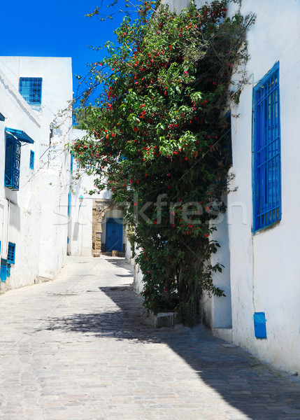 Тунис белый синий города небе Сток-фото © dashapetrenko