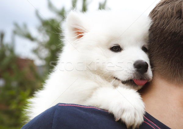 Boy holding Samoyed puppy in the summer garden  Stock photo © dashapetrenko