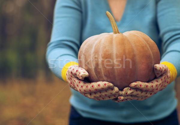 Woman wearing gloves holding orange pumpkin in her hands Stock photo © dashapetrenko