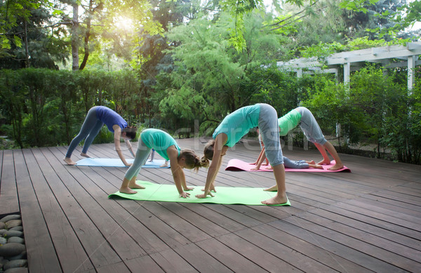 Foto stock: Grupo · madres · ejercicio · yoga · aire · libre