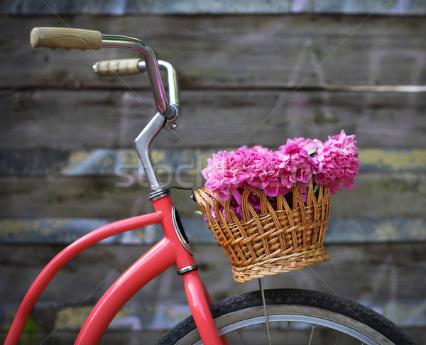 Vintage bicycle with basket with peony flowers  Stock photo © dashapetrenko
