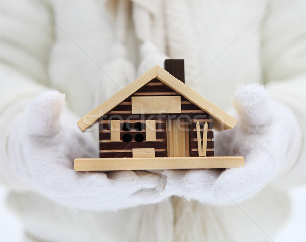 Small house in hands of a child Stock photo © dashapetrenko