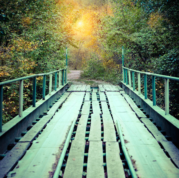 Old bridge in autumn misty park Stock photo © dashapetrenko