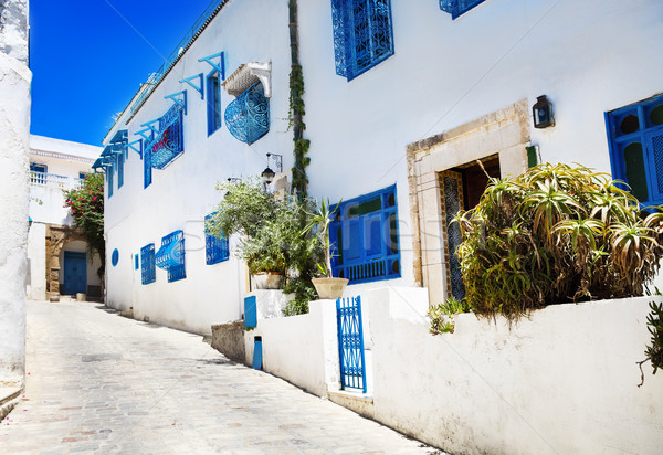 La Tunisia bianco blu città cielo Foto d'archivio © dashapetrenko