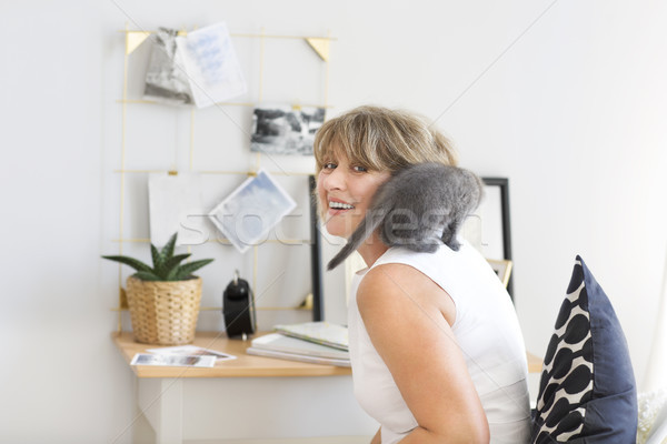 Kätzchen Sitzung reife Frau wenig grau Katze Stock foto © dashapetrenko