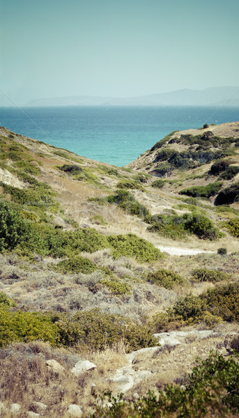 Beautiful sea landscape panorama of Crete Stock photo © dashapetrenko