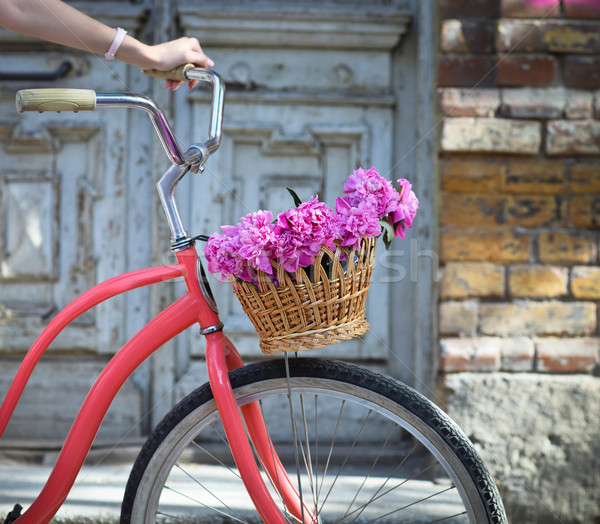 Stock foto: Jahrgang · Fahrrad · legen · Blumen · alten · Holz