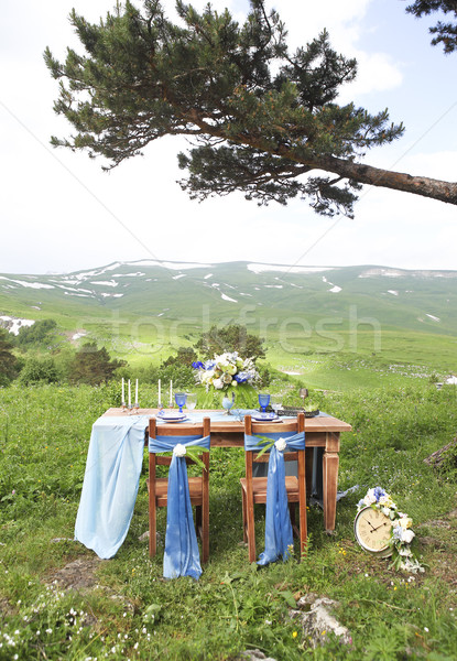 Outdoors table set for dinner, close up  Stock photo © dashapetrenko