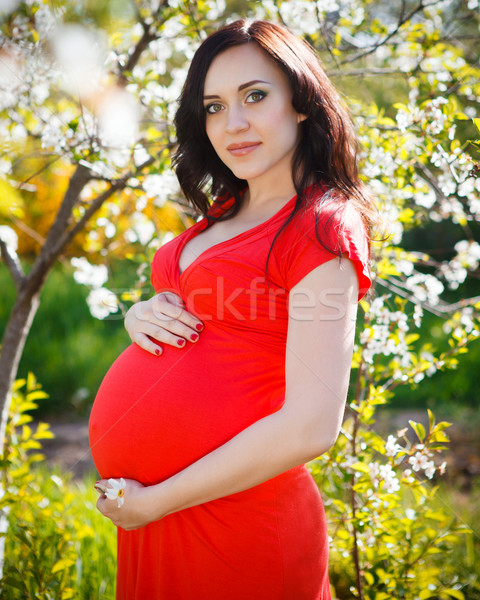 Beautiful pregnant woman in red dress in the flowering spring pa Stock photo © dashapetrenko